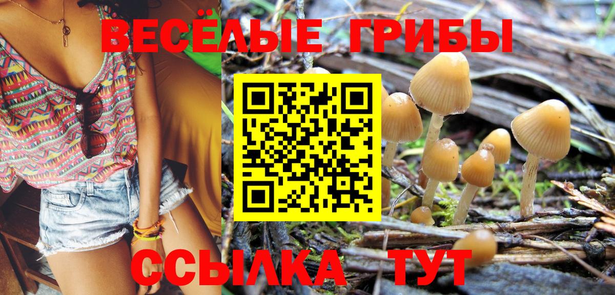 Метамфетамин Донской