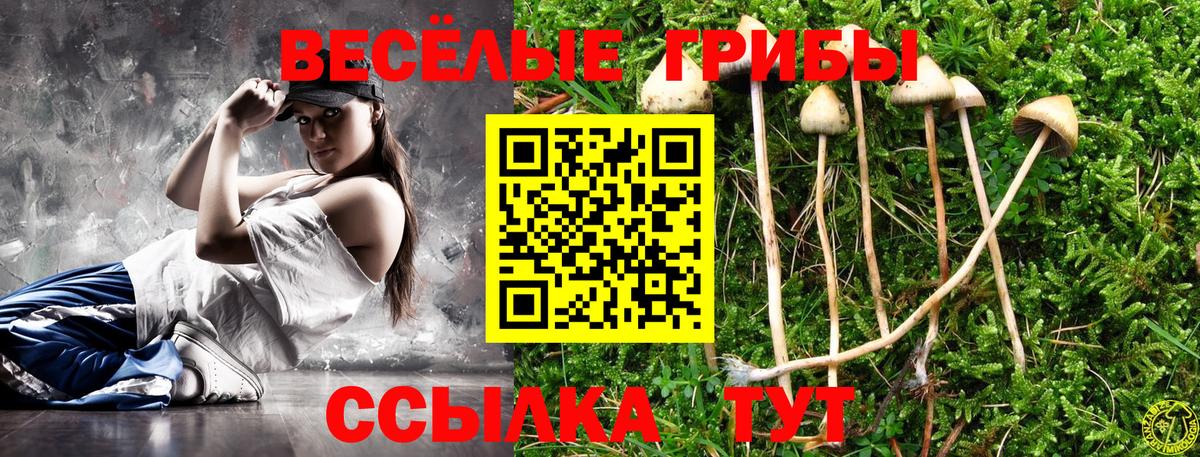 Галлюциногенные грибы Psilocybe Донской